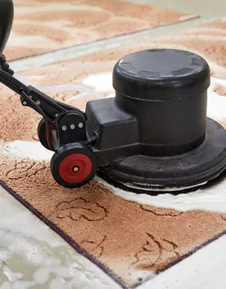 Turramurra Carpet Cleaning