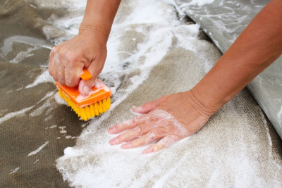 Carpet Shampooing